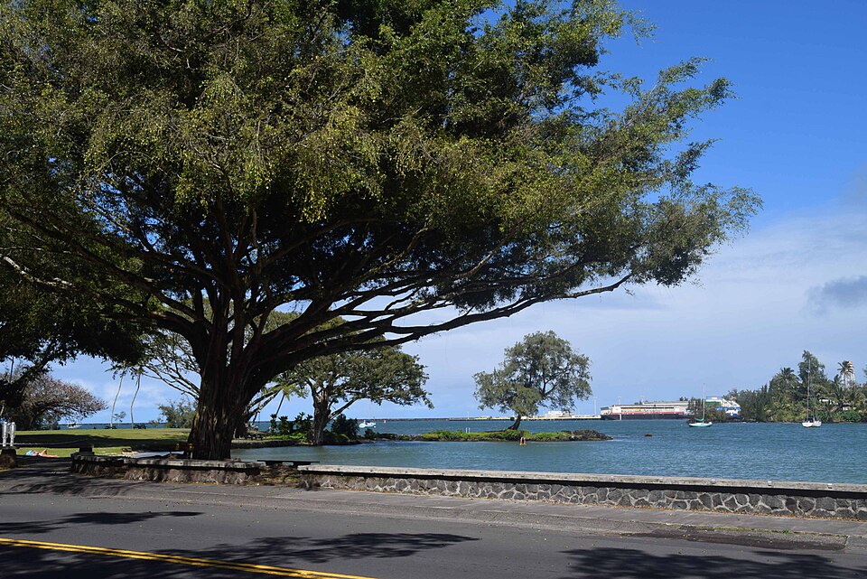 Banyan Drive in Hilo looking toward the Port of Hilo.
