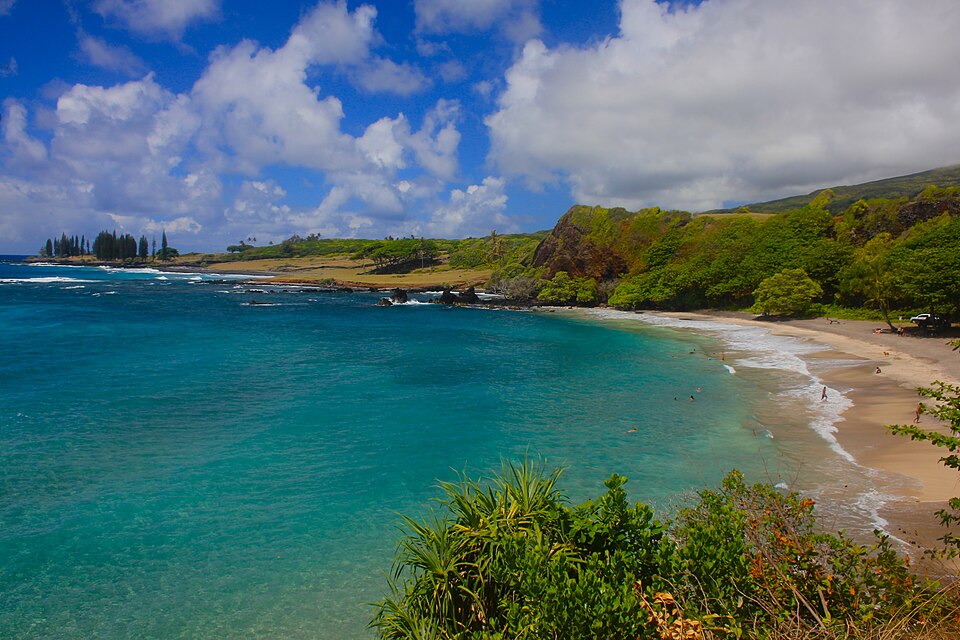Hāmoa Beach near Hāna on Maui.