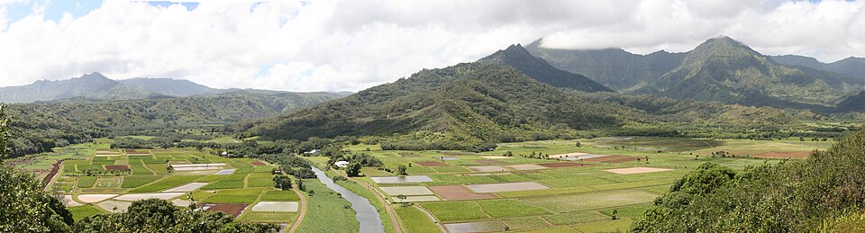 Hanalei Valley and loʻi kalo on Kauaʻi.