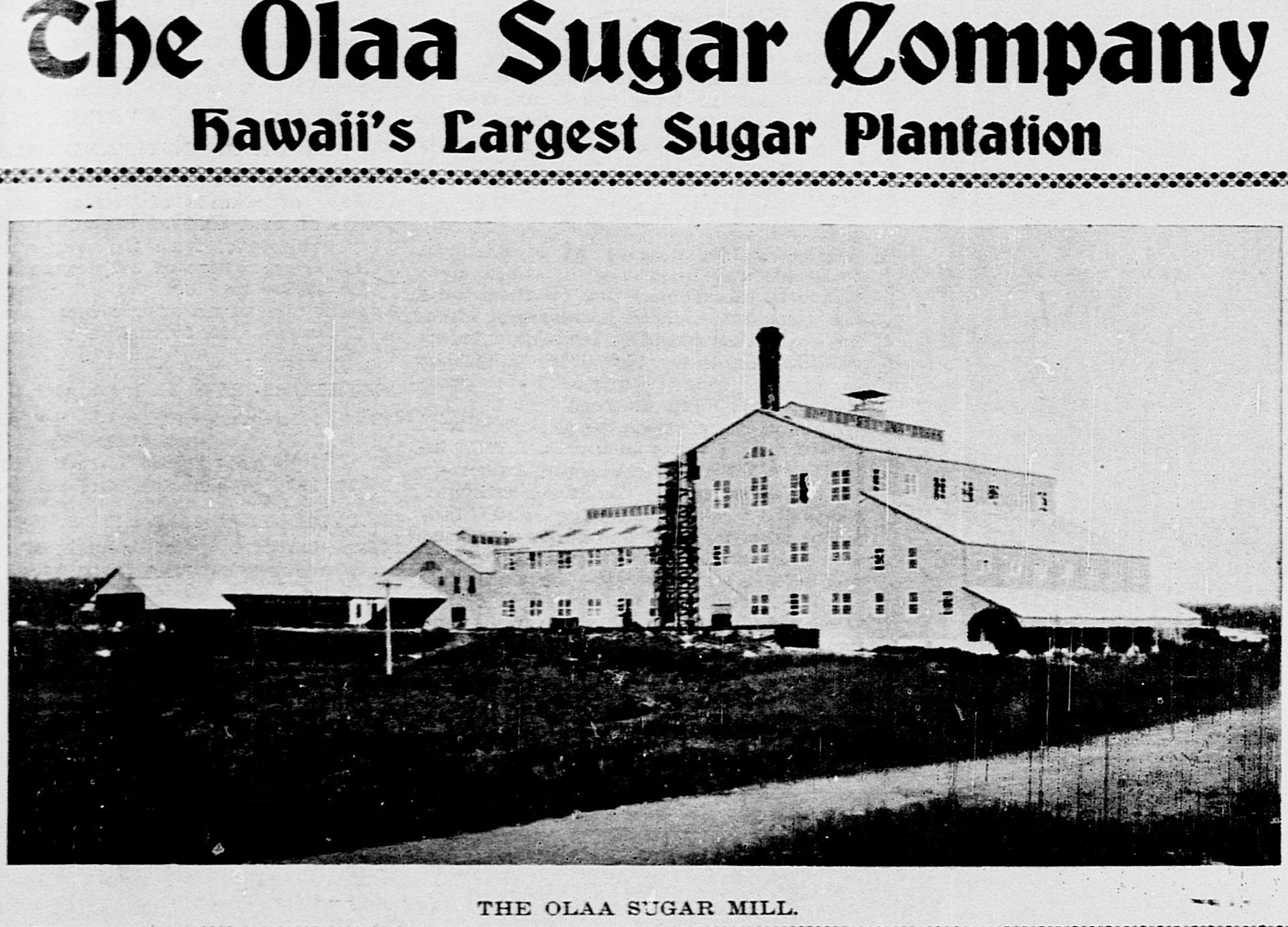 The ʻŌlaʻa Sugar Company mill near Kurtistown, Hawaiʻi Island, around 1902.
