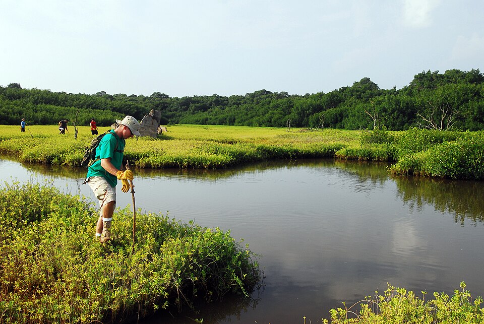 Pouhala Marsh wildlife sanctuary in Waipahu, part of the historic Pouhala landscape that gives Pouhala Rail Station its name.