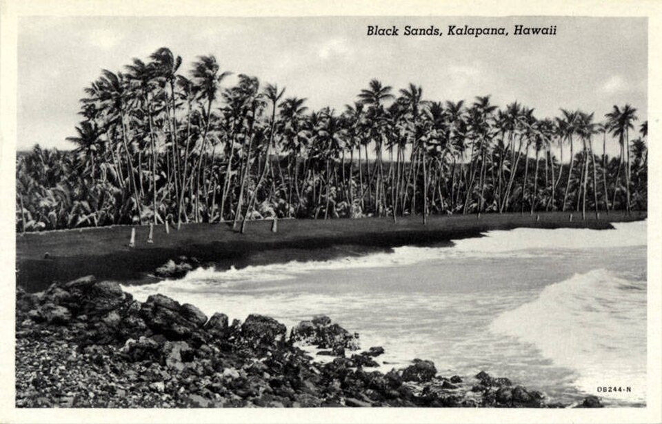 Kaimū Black Sand Beach and coconut grove near Kalapana.