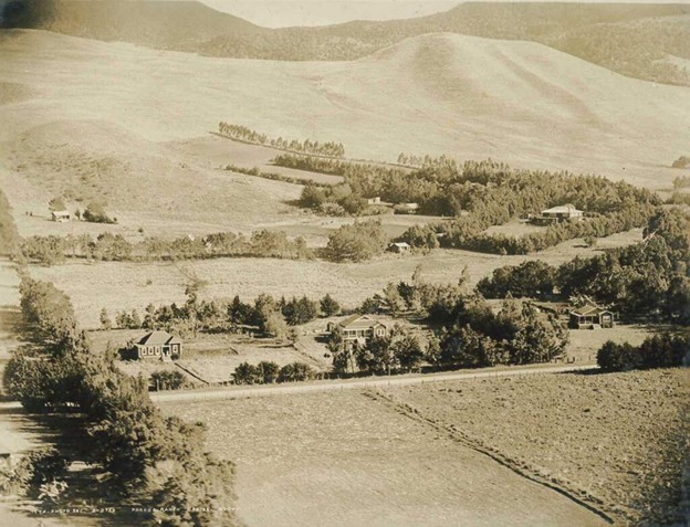 Parker Ranch pastures near Waimea