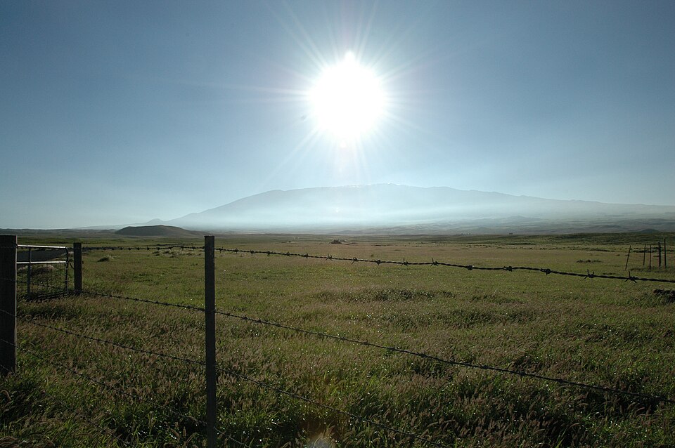 Green pasturelands along the Kohala uplands near Waimea.